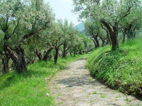 Hotel Villa Vecchia Monte Porzio Catone Екстер'єр фото